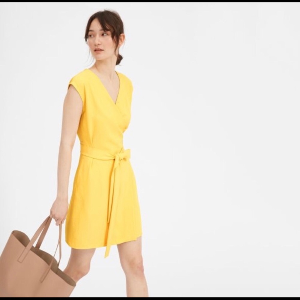 Everlane Japanese Go-weave wrap dress